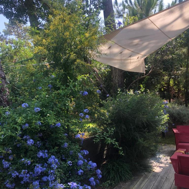 Maison bois 10 pers CapFerret Plage des Américains - Villa - 5