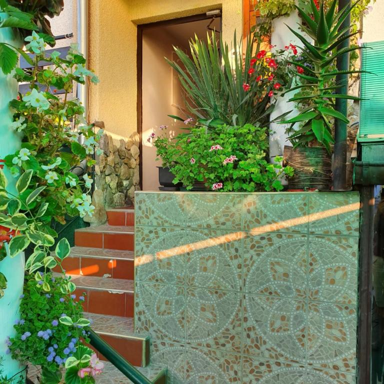 Malgo - Apartman sa Terasom - 14