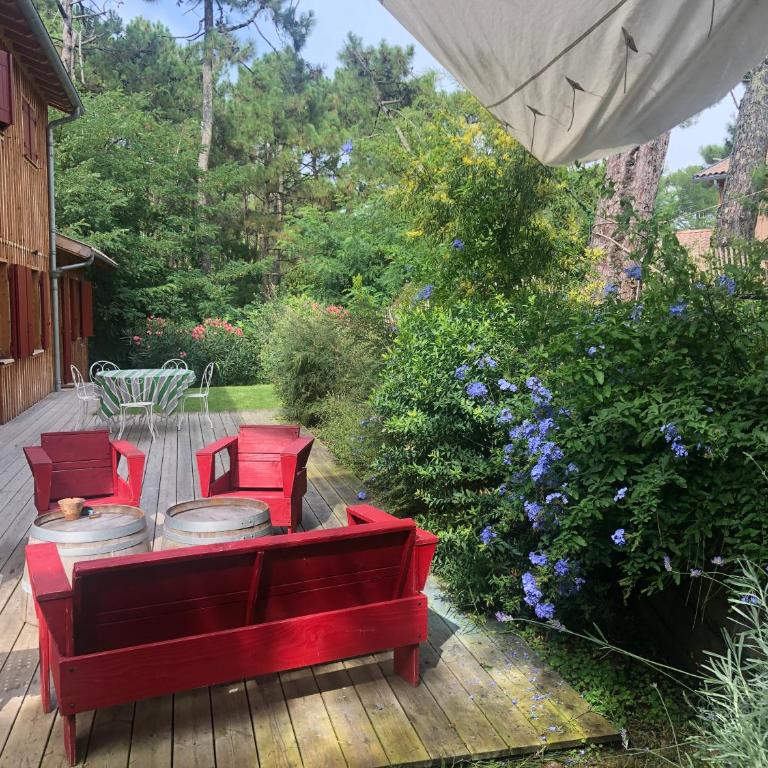 Maison bois 10 pers CapFerret Plage des Américains - Villa - 3