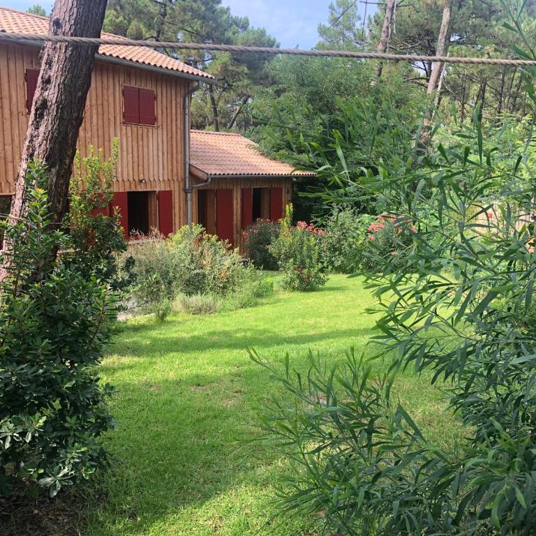 Maison bois 10 pers CapFerret Plage des Américains - Villa - 24