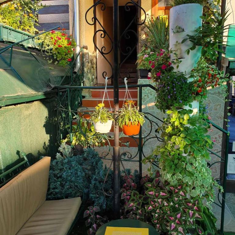 Malgo - Apartman sa Terasom - 15