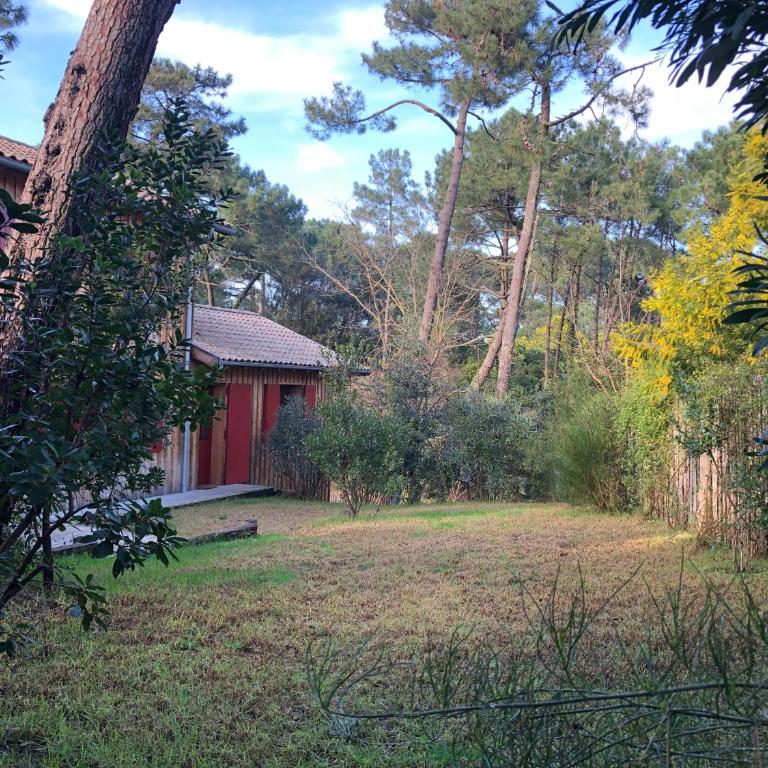 Maison bois 10 pers CapFerret Plage des Américains - Villa - 27