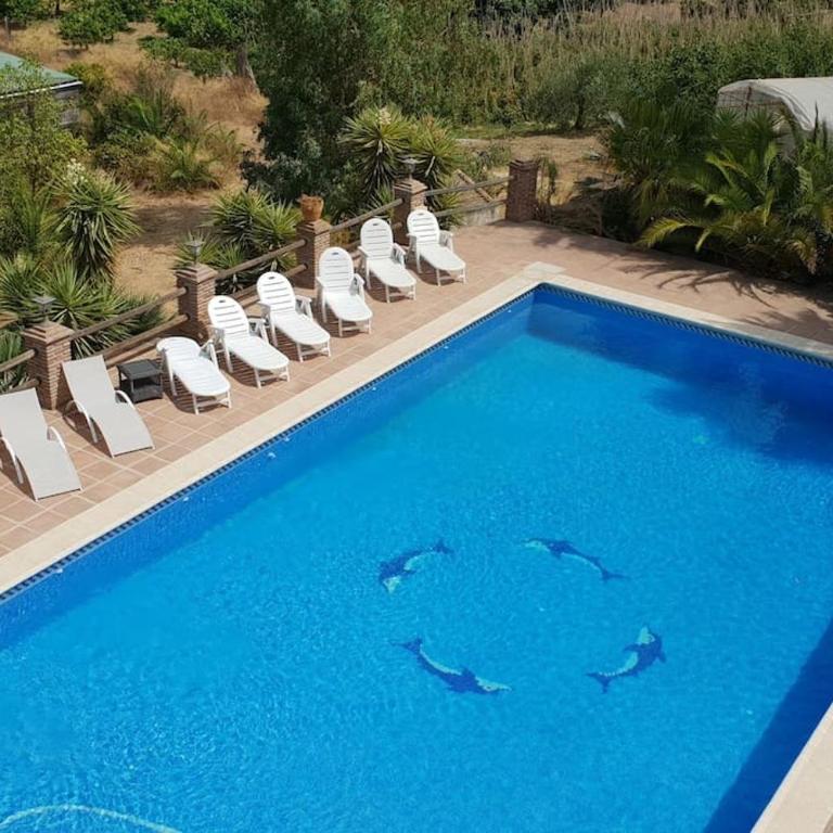 Finca los Arcos - Villa - 25