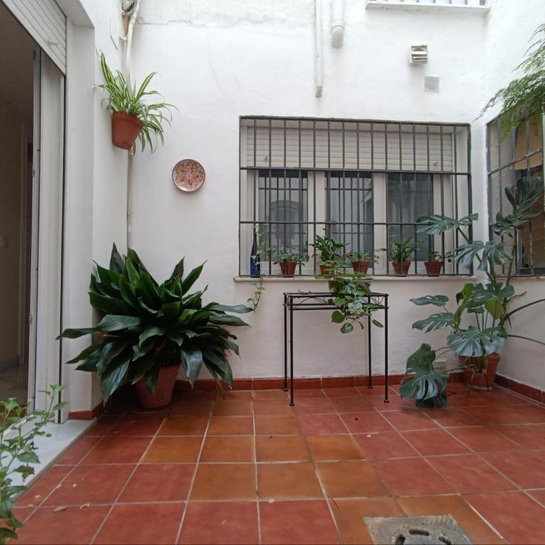 Lineros 24 - Apartamento de 2 dormitorios - 13