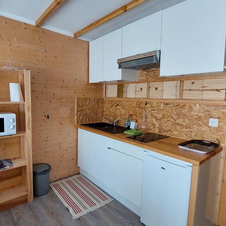 Studio cosy avec balcon sud et animaux admis, proche pistes - FR-1-516-204 - Studio - 2