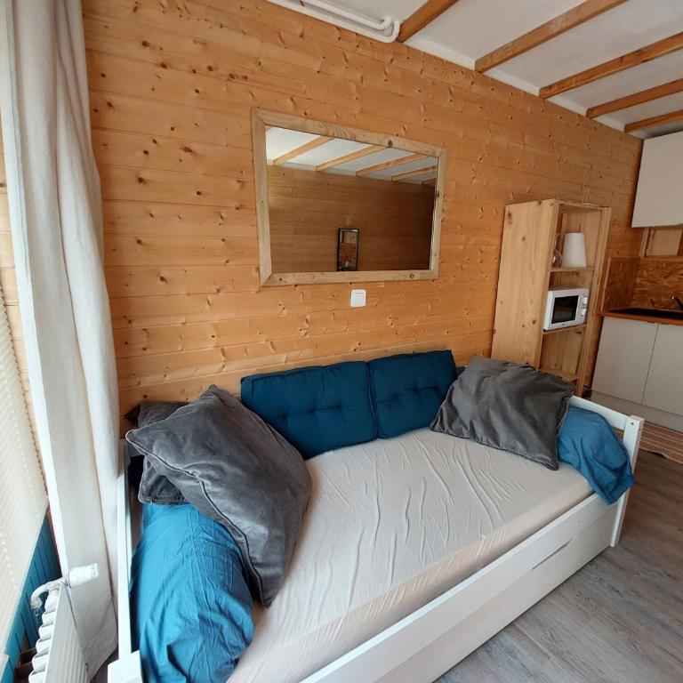 Studio cosy avec balcon sud et animaux admis, proche pistes - FR-1-516-204 - Studio - 3