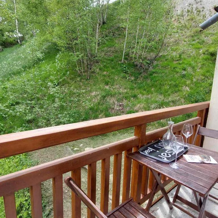 Studio cosy avec balcon sud et animaux admis, proche pistes - FR-1-516-204 - Studio - 8