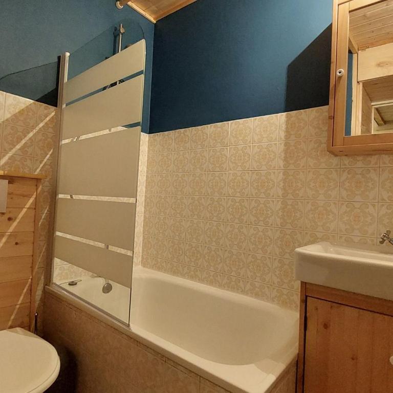 Studio cosy avec balcon sud et animaux admis, proche pistes - FR-1-516-204 - Studio - 10