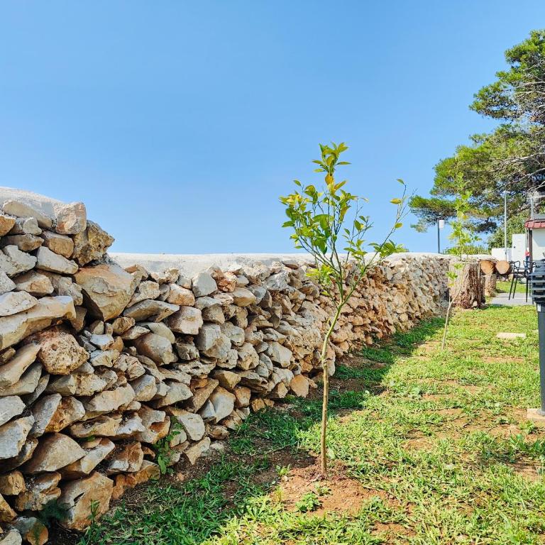 Sweet Sicily Apartments - Appartamento con 2 Camere da Letto - 6