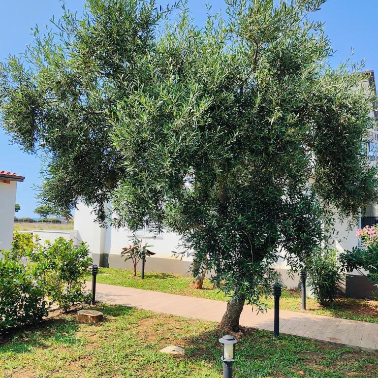 Sweet Sicily Apartments - Appartamento - Piano Terra - 8