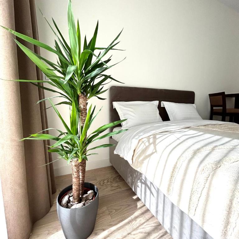 Belgrade Waterfront - BW apartment river view - Apartman sa 1 Spavaćom Sobom - 6