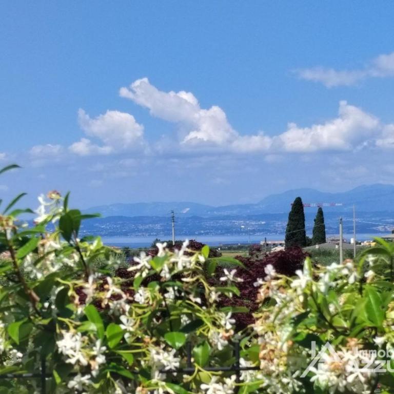 Villetta Batik - Immobiliare Azzurra - Villa con 2 Camere da Letto - 3