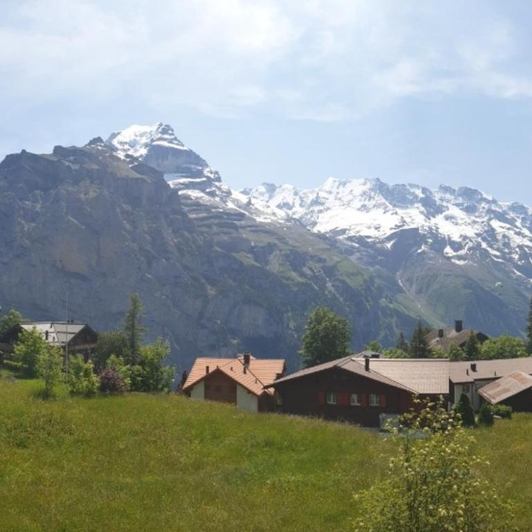 Hotel Jungfrau Mürren - Deluxe Apartment - 2