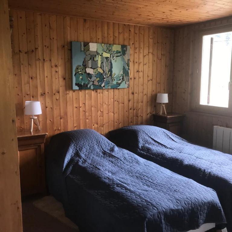 Bernex(74) Appartement 4 personnes dans chalet vue imprenable - Appartement 1 Chambre - 7