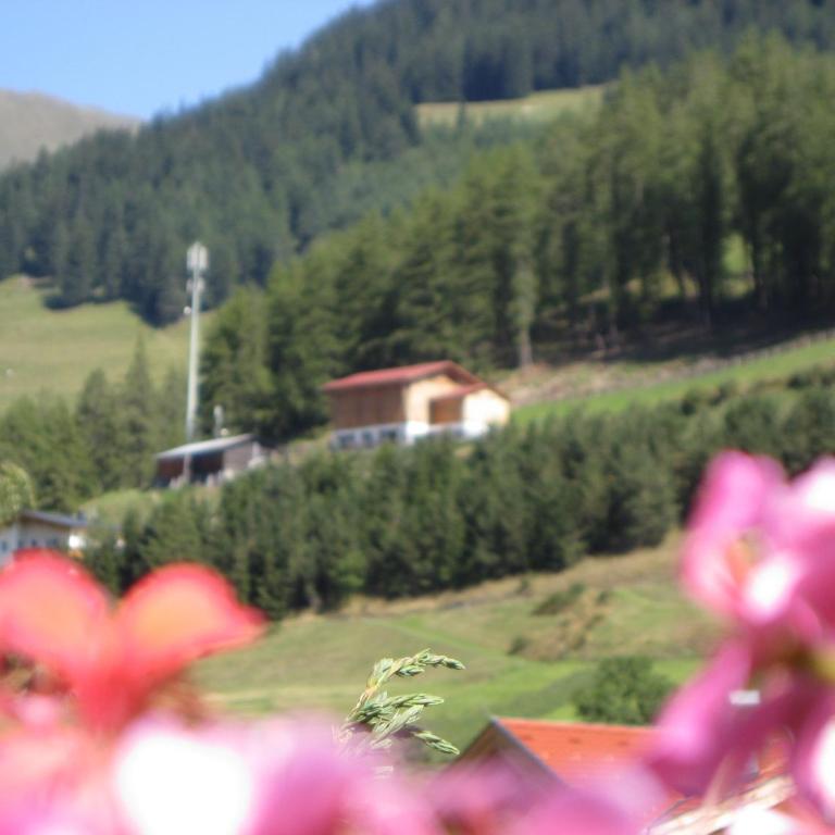 Alpenrose-Apart - Apartment - Erdgeschoss - 6