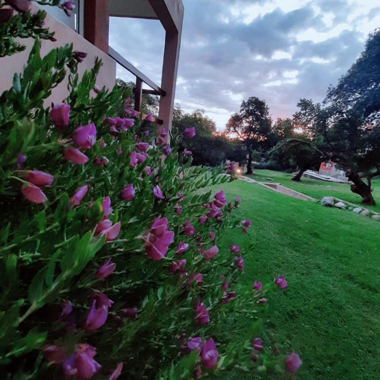 COSTA COM Departamentos de Montaña - One-Bedroom Apartment - 40