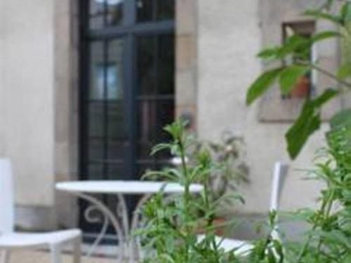 La Villa Beaupeyrat - Appart Hôtel de Charme dans bâtisse de caractère à 400m du coeur de ville de Limoges - Accès autonome - Comfort Apartment with Terrace - Garden Floor - 3
