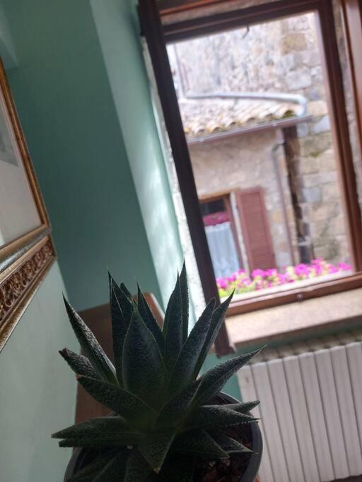 Casa Rosita vista lago - Appartamento con 2 Camere da Letto - 19
