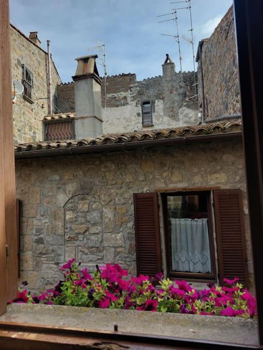 Casa Rosita vista lago - Appartamento con 2 Camere da Letto - 24