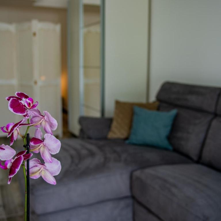 Apartments Edera - Studio sa Pogledom na More - 5