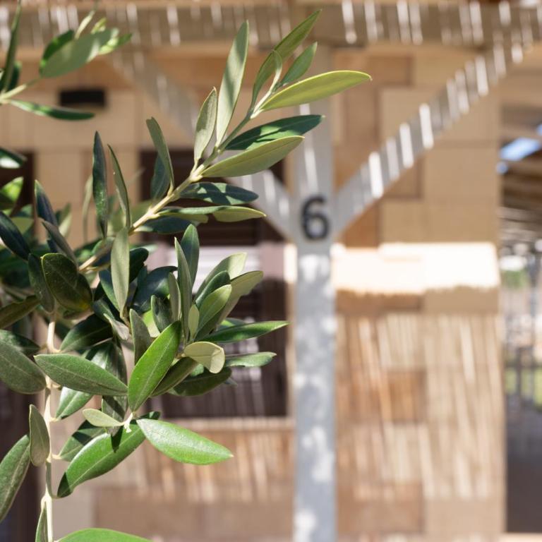 Tenuta San Lorenzo - Comfort Triple Room with Shower - 8