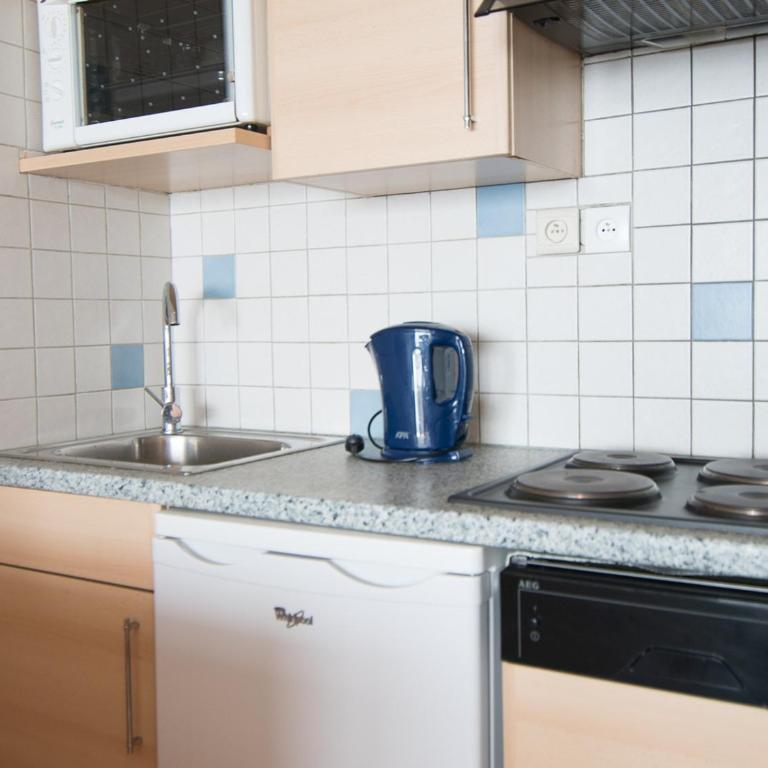 Studio 30m² Sud/Ouest, 500m pistes, WIFI, animaux OK - FR-1-449-158 - Studio - 6