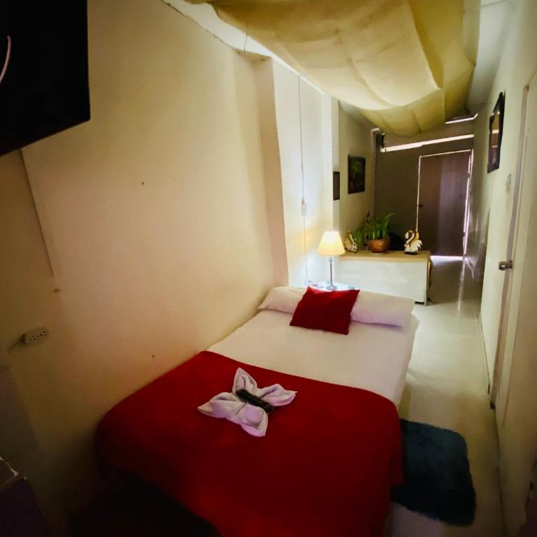 Apartamento Frente al Terminal de Armenia Q. - Loft - 1