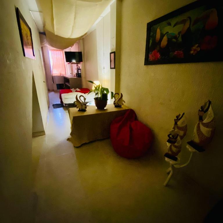 Apartamentos Frente al Terminal de Armenia - Loft - 2