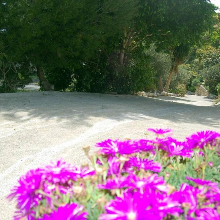 Villa with swimming pool and nature - Villa de 3 dormitorios - 18