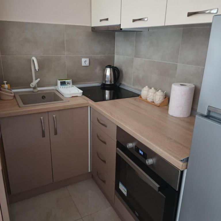 Zvezdica - Apartman sa 1 Spavaćom Sobom - 31