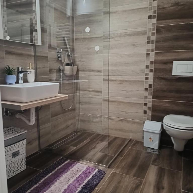 Zvezdica - Apartman sa 1 Spavaćom Sobom - 28