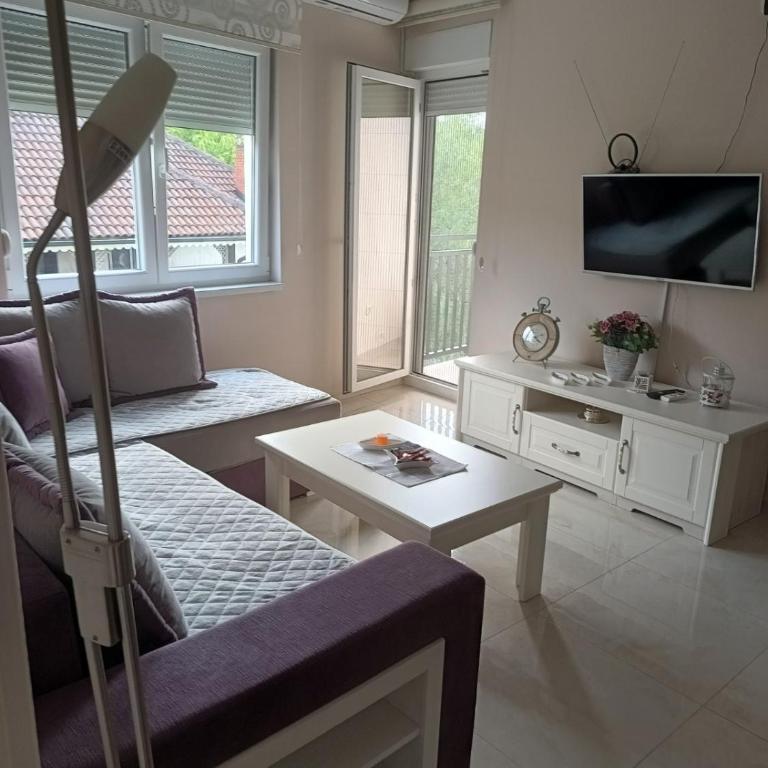 Zvezdica - Apartman sa 1 Spavaćom Sobom - 16