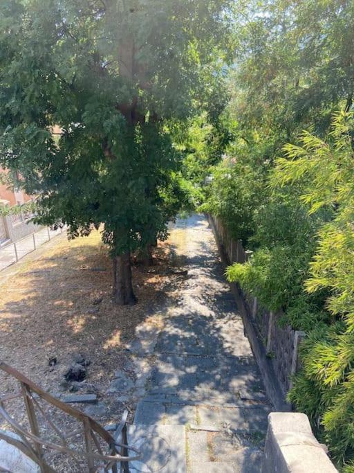 All’ombra delle sophore (011015-LT-2264) - One-Bedroom Apartment - 9