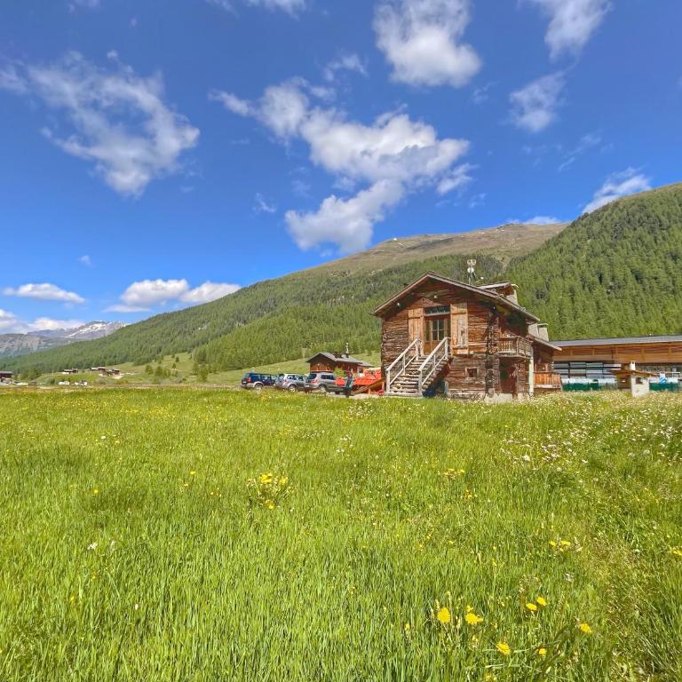 Chalet I Clus - Appartamento - Piano Terra - 12