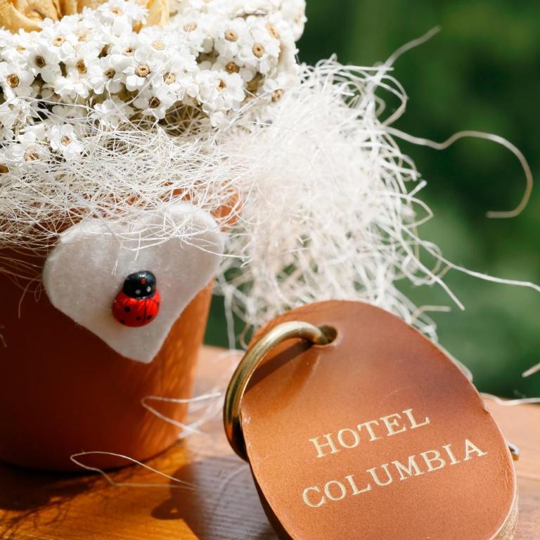 Hotel Columbia & Spa - Double or Twin Room Alpina with Balcony and View - 10
