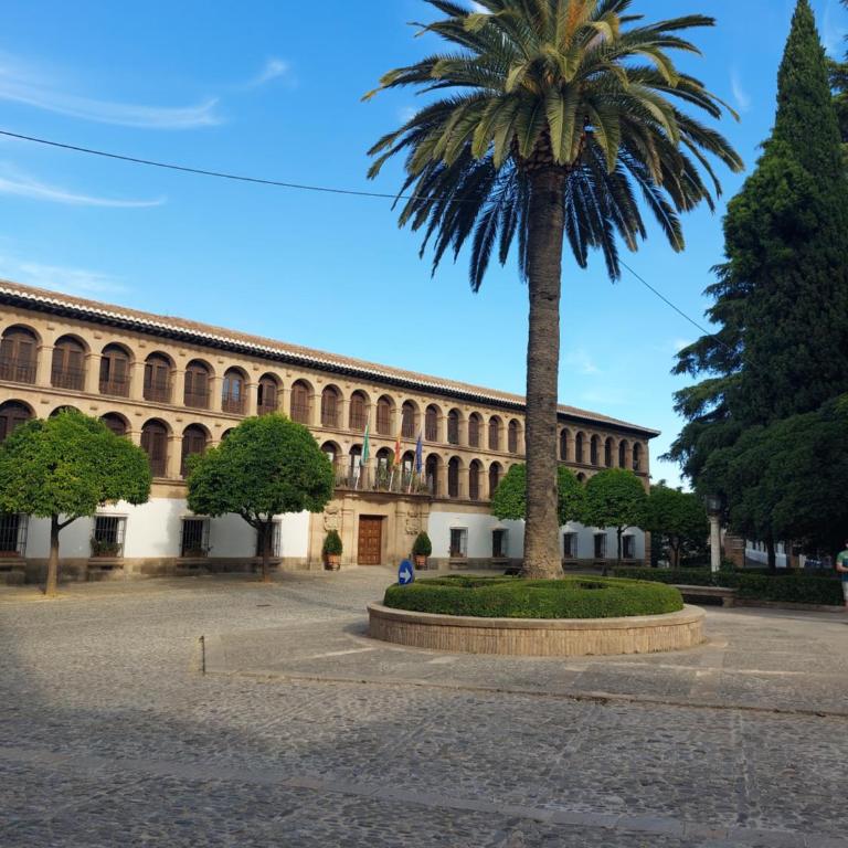 Apartamento Artesanos Ronda - Apartamento de 3 dormitorios - 20