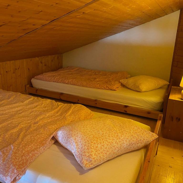 Appartement spacieux avec mezzanine près du centre de Châtel - FR-1-693-58 - Appartement - 4