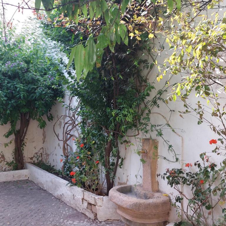 Apartamento Artesanos Ronda - Apartamento de 3 dormitorios - 28