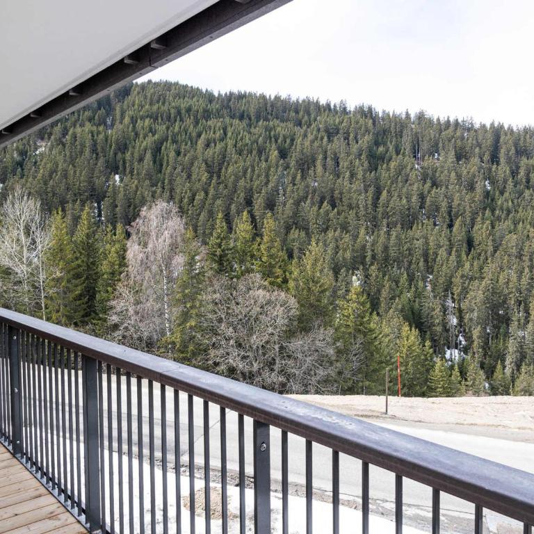 Neuf et Ensoleillé, 2P + Cabine, Proche Centre et Pistes, Balcon, Wifi, Parking - FR-1-575-172 - Apartment - 12