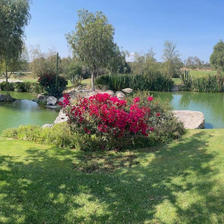 Luxury in San Miguel at its best. - Villa - 25