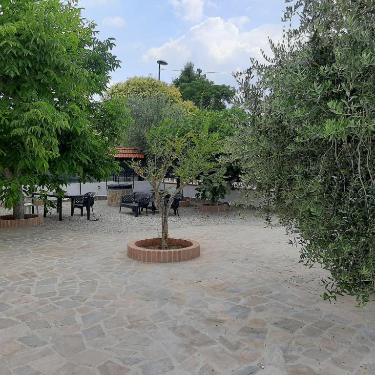 La casa di Ely - Appartamento con 2 Camere da Letto - 7