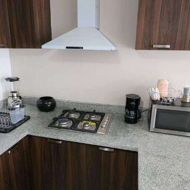 Depa nuevo en el corazón de GDL con seguridad y alberca - Apartamento de 2 dormitorios - 9