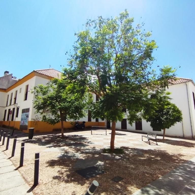 APARTAMENTOS LOS ABUELOS - Cordoba - Apartamento de 2 dormitorios - 22