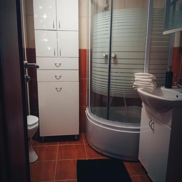 Apartman Simović, Vrnjačka Banja - Apartman sa 1 Spavaćom Sobom - 9