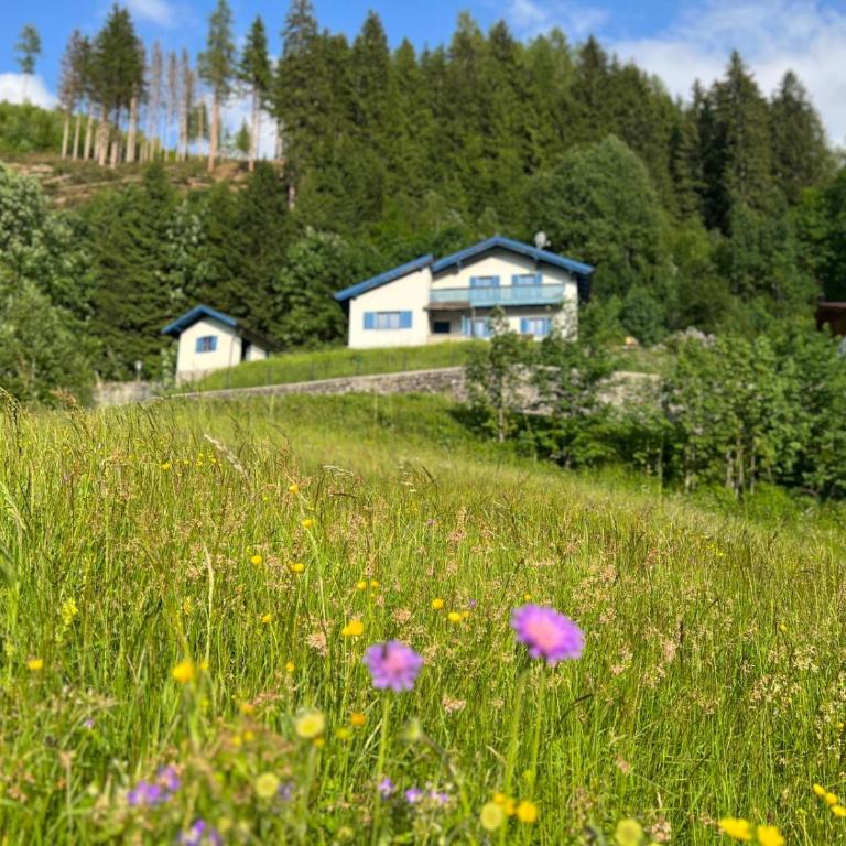 Charming chalet with sauna + views! - Chalet - 1