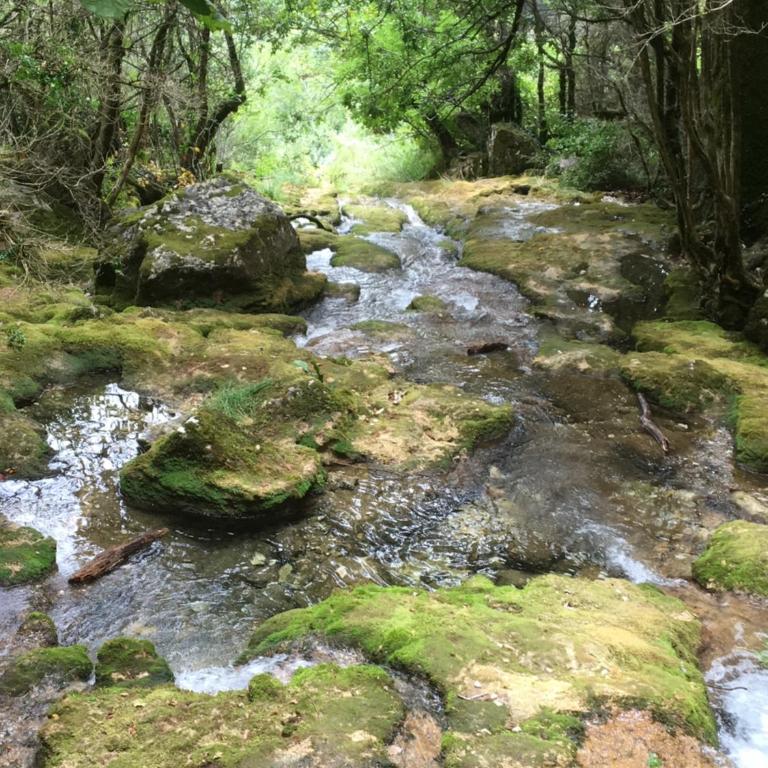 L'écrin du Vercors - Appartamento con 2 Camere da Letto - 49