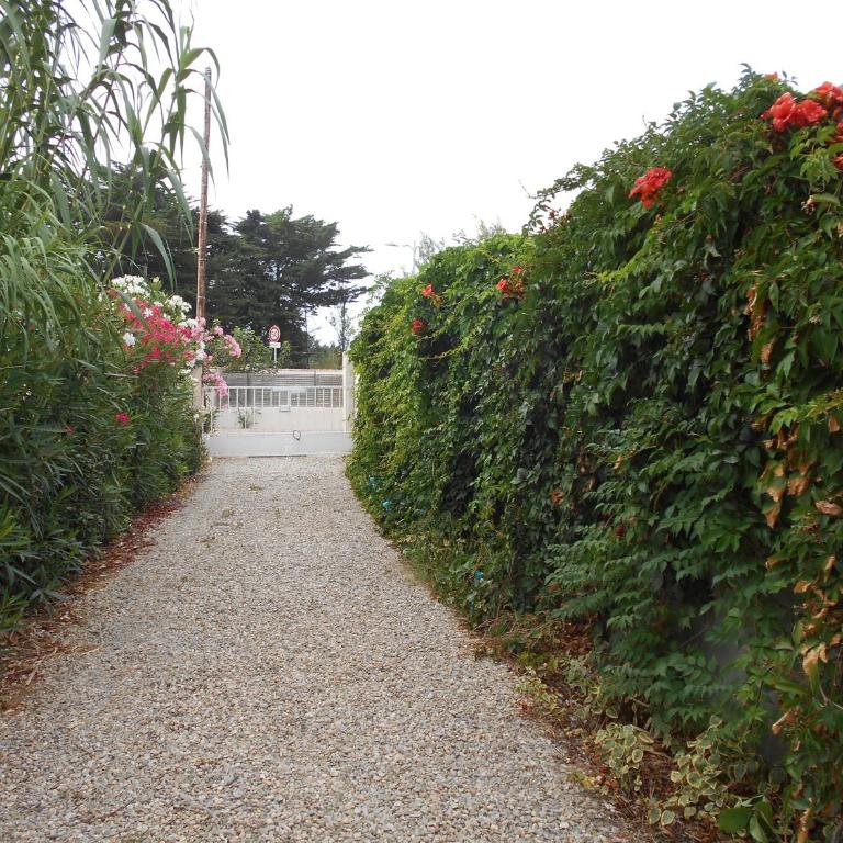 Plein SUD, 5 mn de la mer, grand logement 8 personnes - Appartement 3 Chambres - 1