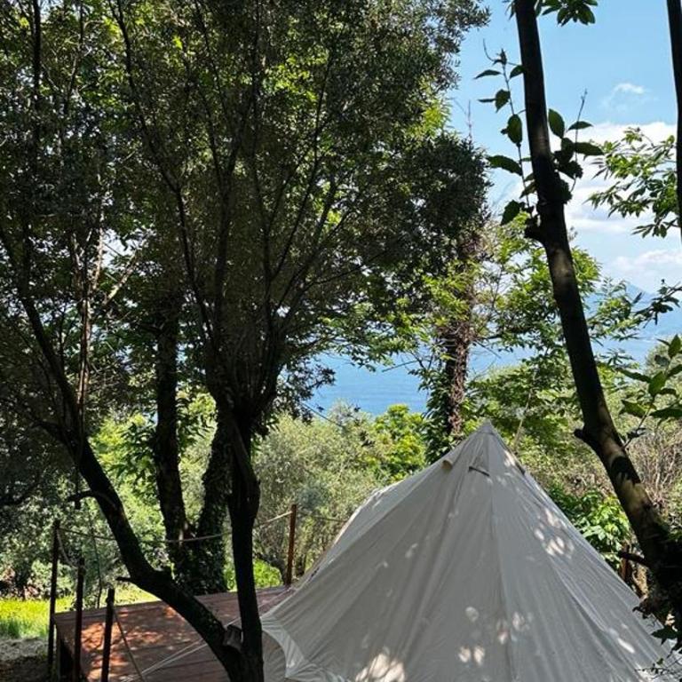 Habitat Eco Farm - TENDO CASTAGNO - 16