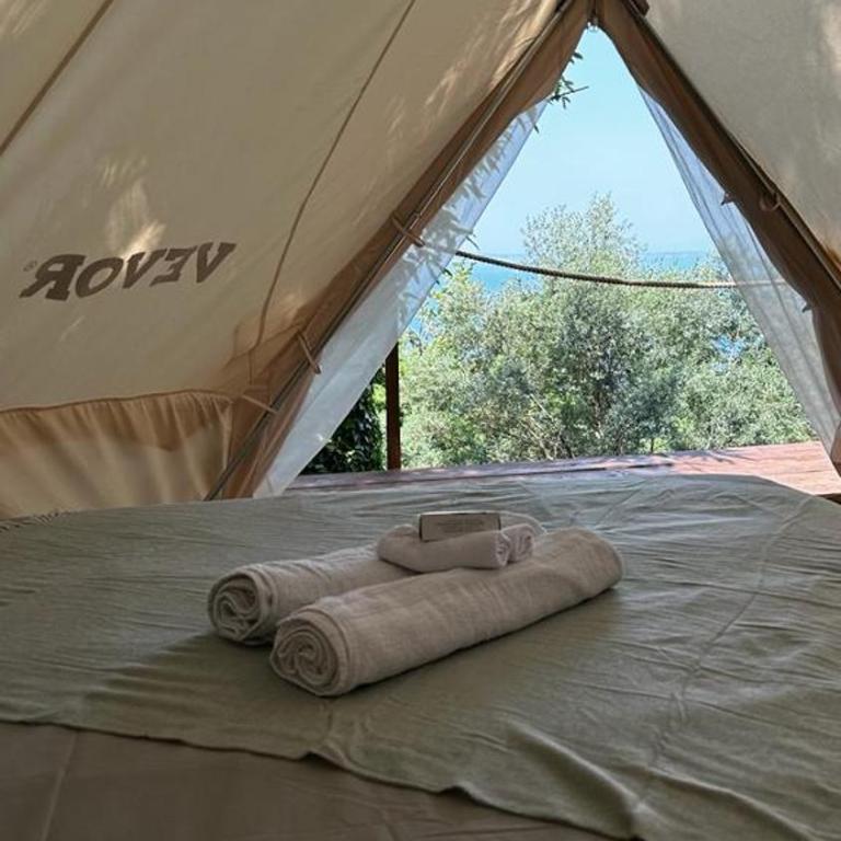 Habitat Eco Farm - TENDO CASTAGNO - 6