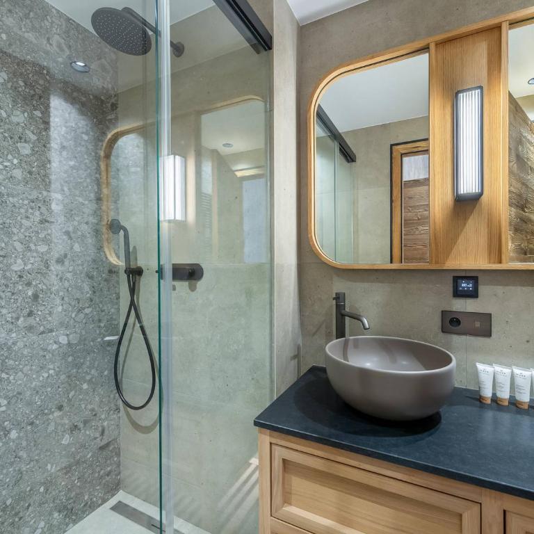 Penthouse exceptionnel avec jacuzzi, sauna, skis aux pieds, animaux admis - FR-1-565-76 - Appartement - 11